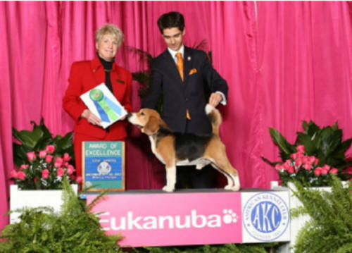 MiloEukanuba2012