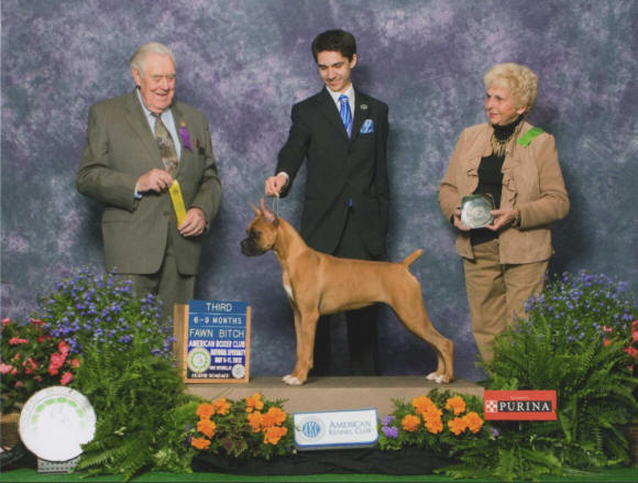 Porsche Thrid Place Puppy Class