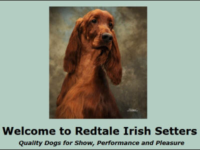 RedTaleIrishSetters