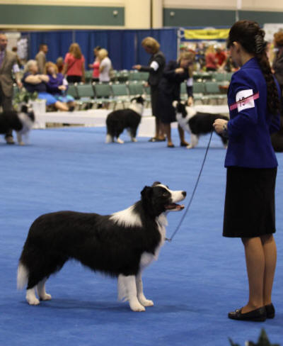 Louie_Abbey_Westminster2013