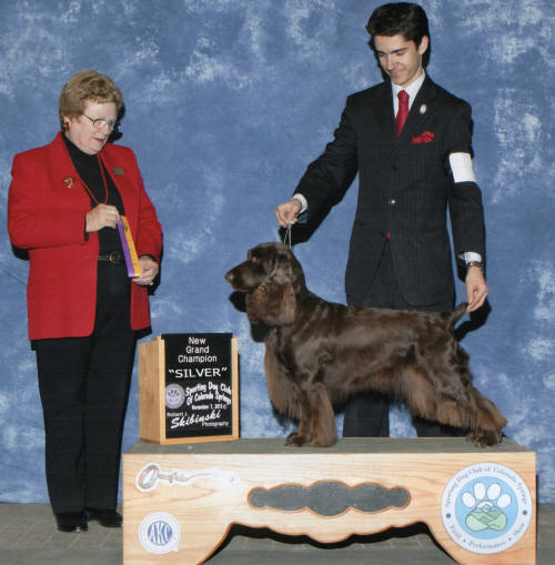 Tessa_SCSDC_Silver_GCH_9-7-13.jpg