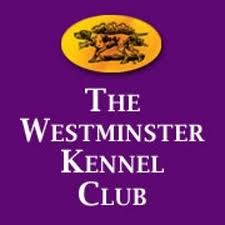 Westminster_Kennel_Club